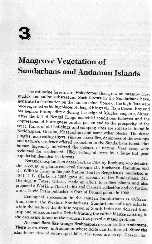 Sundarbans Mangrove - aus dem Buch